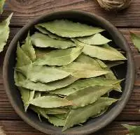 Premium Bay Leaves Aromatic & High Quality
