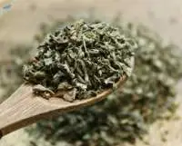 Premium Dried Basil Aromatic Herb