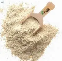 Horseradish Powder Premium Quality