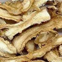 Angelica Root Premium Quality