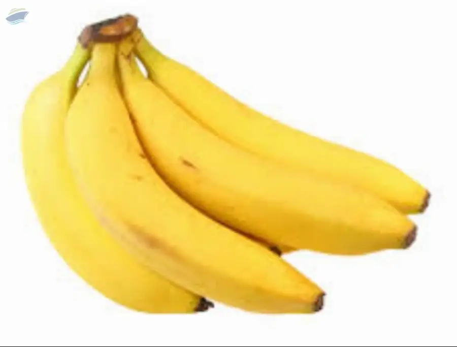 Fresh Banana Premium Quality