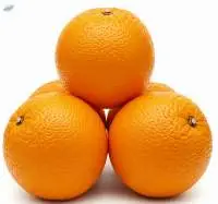 Fresh Oranges Premium Quality