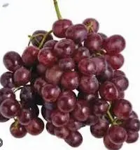 Fresh Grapes Premium Quality