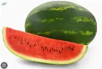 Fresh Watermelon Premium Quality