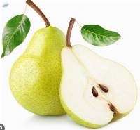 Fresh Pears Premium Quality