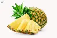 Fresh Pineapple Premium Quality