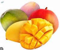 Fresh Mango Premium Quality