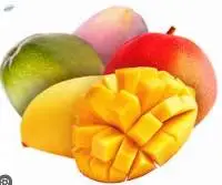 Fresh Mango Premium Quality