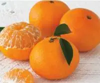 Fresh Tangerines Premium Quality