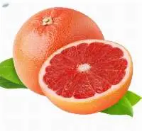 Fresh Grapefruit Premium Quality