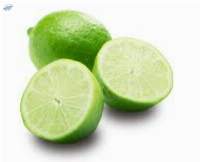 Fresh Limes Premium Quality