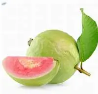 Fresh Guava Premium Quality