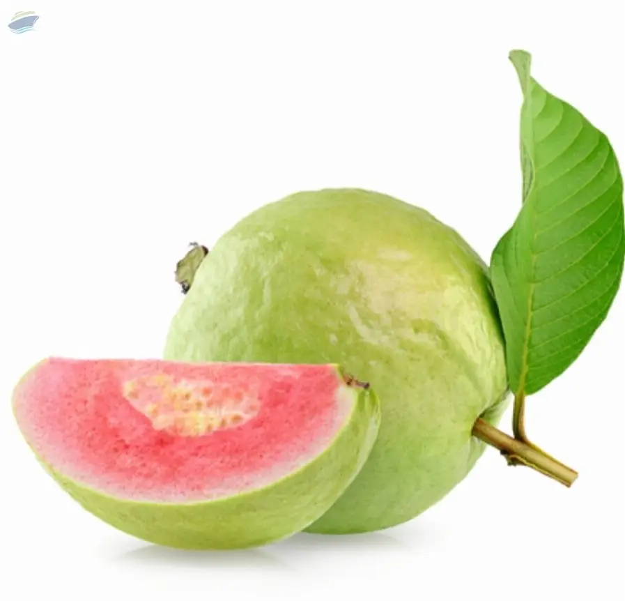Fresh Guava Premium Quality