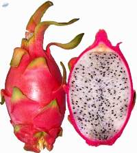 Dragon Fruit (Pitaya) Premium Quality