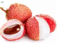 Fresh Lychee Premium Quality