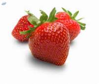Fresh Strawberries Premium Quality