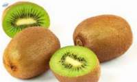 Fresh Kiwi Premium Quality
