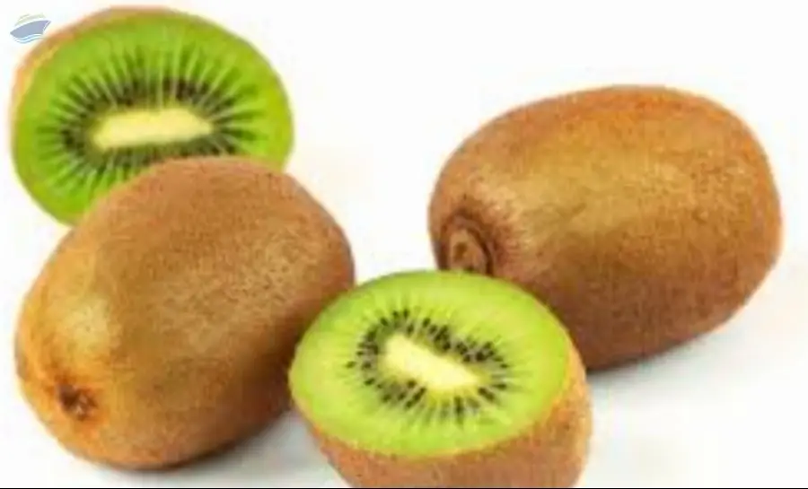 Fresh Kiwi Premium Quality