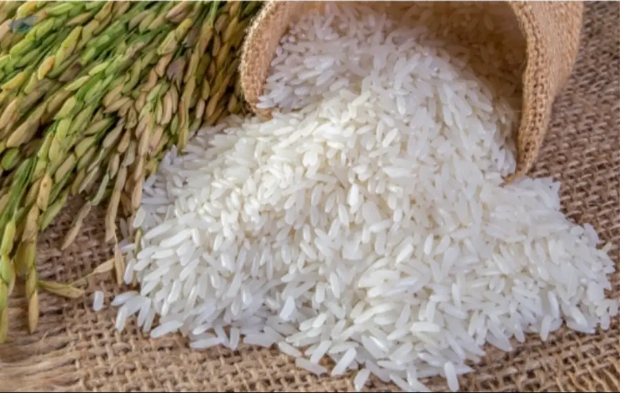 Premium Indica Rice Long-Grain
