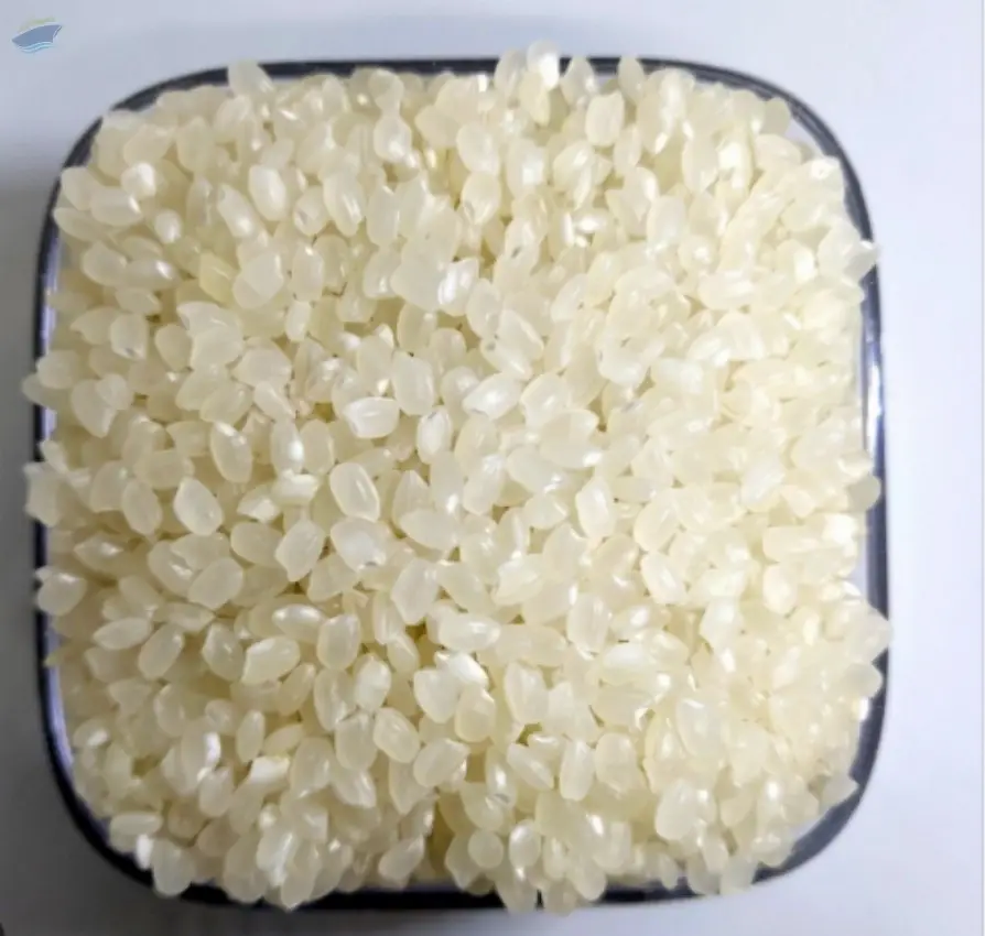 Premium Japonica Rice Short-Grain