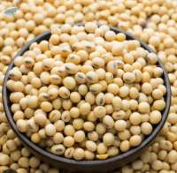 Premium Soybeans High-Quality
