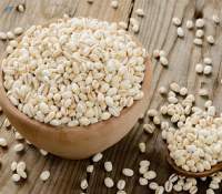 Premium Barley Whole Grain