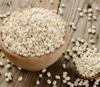 Premium Barley Whole Grain