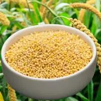 Premium Millet Nutritious, Gluten-Free