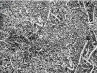 Shredded Steel Scrap (ISRI 211) Premium