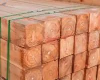 Teak (Tectona grandis) Premium Luxury