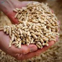 Wood Pellets Efficient Biomass Fuel