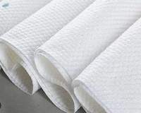 Spunlace Non-Woven Fabric (69 GSM)