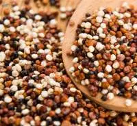 Grains & Bakery Ingredients Premium