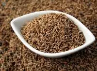 Aniseed Aromatic Spice For Culinary