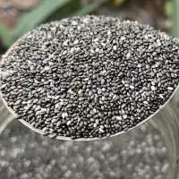 Chia Seeds Premium Superfood For Nutrition