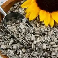 Sunflower Seeds Premium Quality