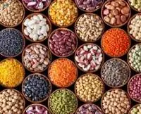 Seeds Premium Quality Selection