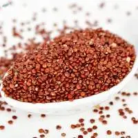Red Quinoa Premium Quality
