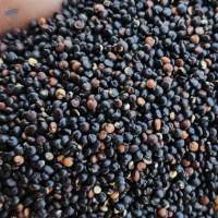 Black Quinoa Premium Quality