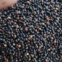 Black Quinoa Premium Quality