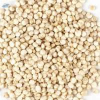 White Quinoa Premium Quality