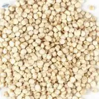 White Quinoa Premium Quality