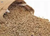 Rye Whole Premium Quality Grain