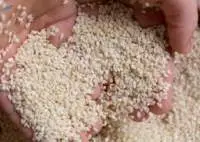 Sesame Seeds Dehulled Premium Quality