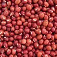Red Sorghum Premium Quality Grain