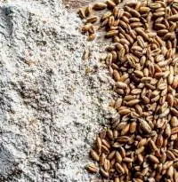 Spelt Flour Premium Quality Whole Grain  