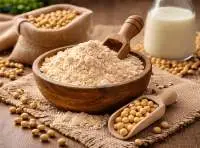 Soya Flour Premium Quality