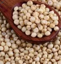 White Sorghum Premium Quality Grain