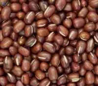 Adzuki Beans Premium Quality