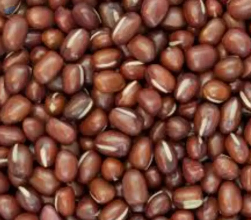 Adzuki Beans Premium Quality